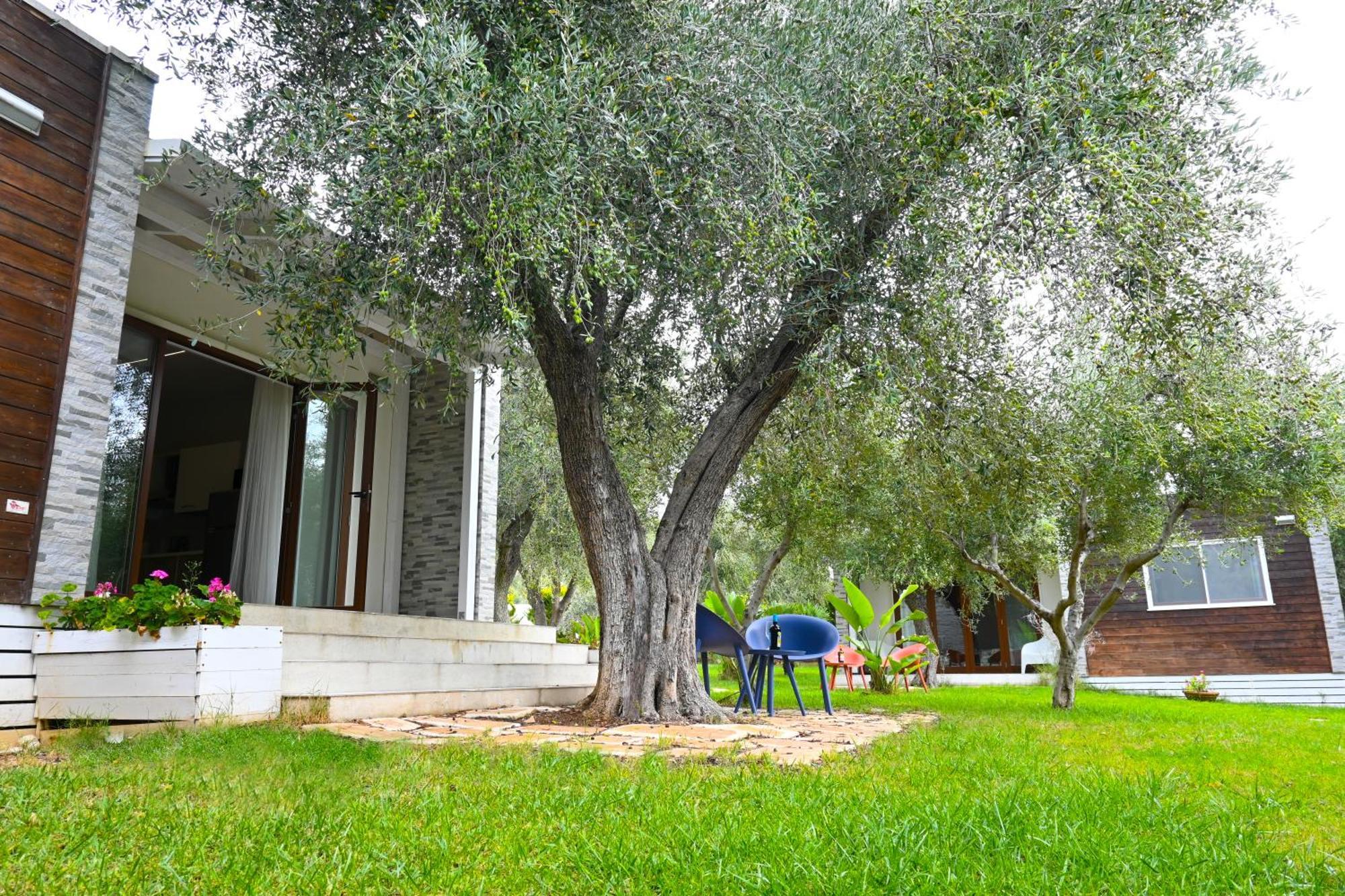 Villa Giardino Don Berardino Mattinata Esterno foto